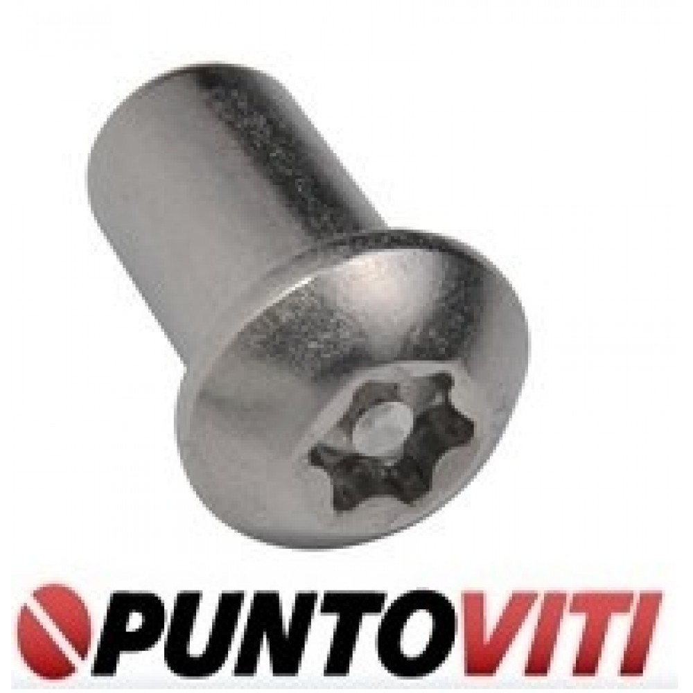 Lot De 20 Vis Torx De Sécurité M4x6mm En Inox 316 - NEUF Pour Machines Ou Bricolage Exigeant